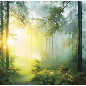 Fototapeta las 3d drzewa słońce natura na ścianę sypialnia salon 300×210 711987