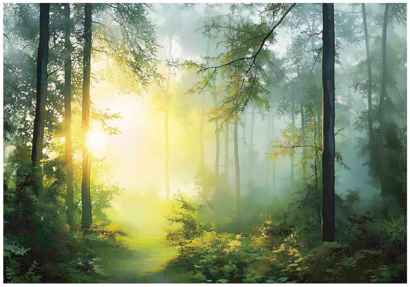 Fototapeta las 3d drzewa słońce natura na ścianę sypialnia salon 400x280 711962