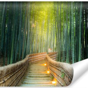 Fototapeta Las Bambusowy W Dżungli Efekt 3D 368x254cm 264701 Fototapeta Las Bambusowy W Dżungli Efekt 3D 368x254cm 264701
