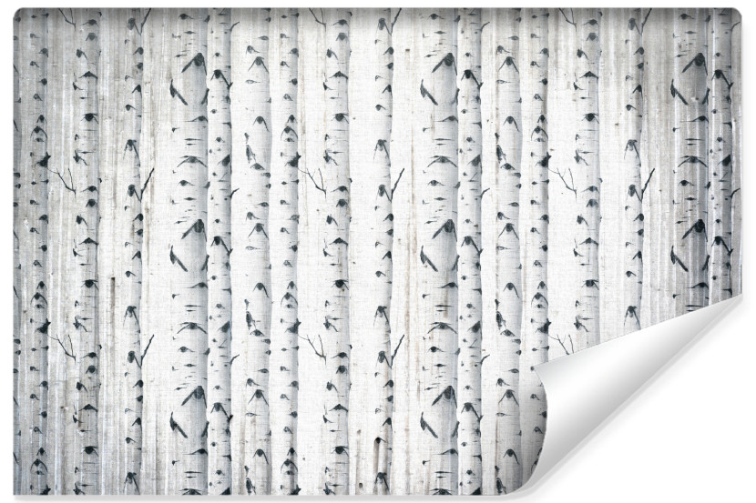 Fototapeta Las Brzozowy W Stylu Vintage 270x180cm 315159