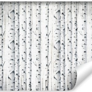 Fototapeta Las Brzozowy W Stylu Vintage 368x254cm 315522 Fototapeta Las Brzozowy W Stylu Vintage 368x254cm 315522