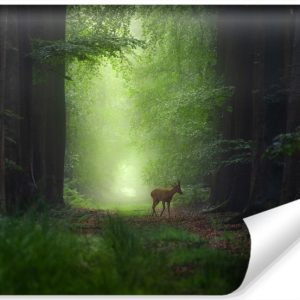 Fototapeta Las JELEŃ Drzewa Natura Wzór 3D 152.5x104cm 257311 Fototapeta Las JELEŃ Drzewa Natura Wzór 3D 152.5x104cm 257311