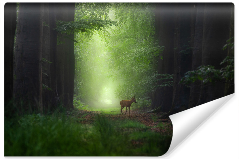Fototapeta Las JELEŃ Drzewa Natura Wzór 3D 315x210cm 257342