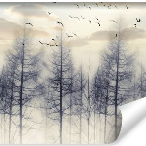Fototapeta Las Spowity Mgłą O Wschodzie 104×70.5cm 170277