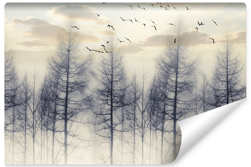 Fototapeta Las Spowity Mgłą O Wschodzie 450x300cm 170275