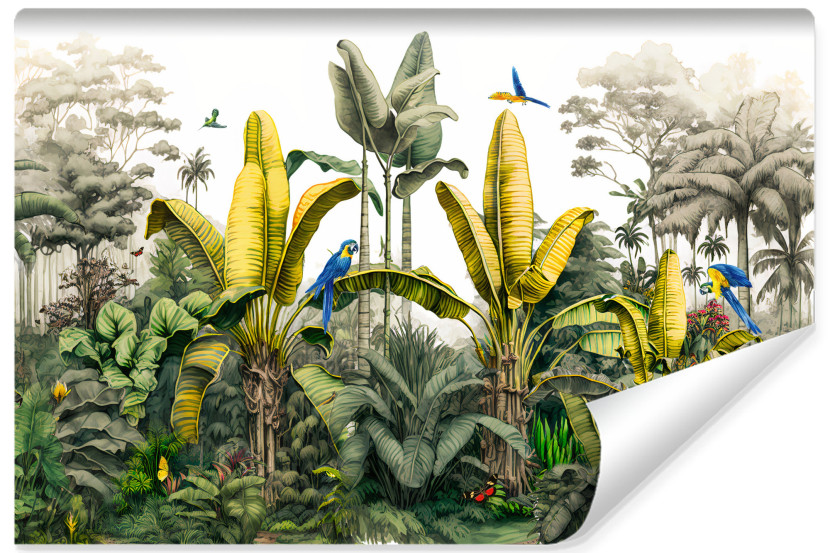 Fototapeta Las TROPIKALNY Drzewa Bananowe 405x270cm 173196