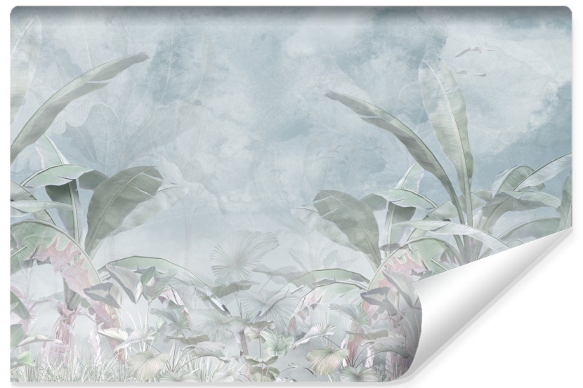 Fototapeta Las Tropikalny Liście Bananowe Natura 254x184cm 167434