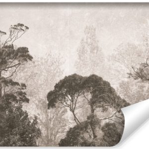 Fototapeta Las Tropikalny Na Betonie 405x270cm 319724 Fototapeta Las Tropikalny Na Betonie 405x270cm 319724