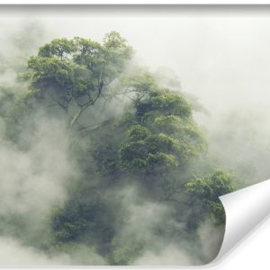 Fototapeta Las TROPIKALNY We Mgle Efekt 3D 254x184cm 264643