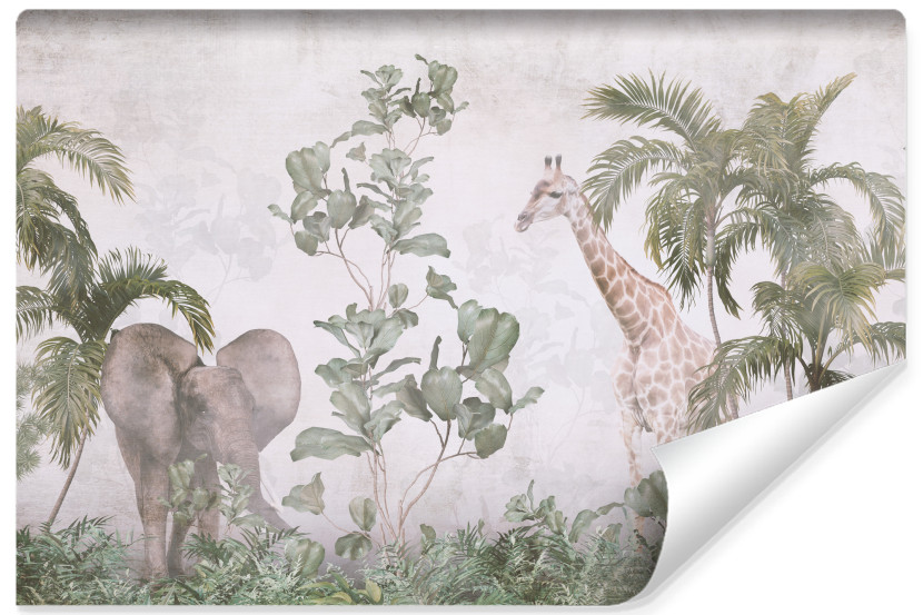 Fototapeta Las Tropikalny We Mgle Mural 254x184cm 167571