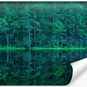 Fototapeta LAS W Odbiciu Jeziora Drzewa 3D 315x210cm 264676 Fototapeta LAS W Odbiciu Jeziora Drzewa 3D 315x210cm 264676