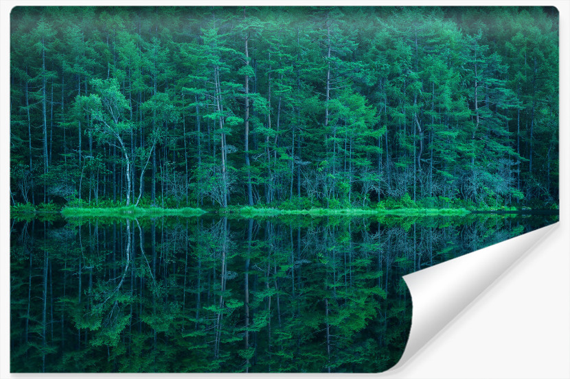 Fototapeta LAS W Odbiciu Jeziora Drzewa 3D 90x60cm 264751