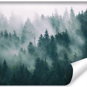 Fototapeta Las we mgle 300x210cm 76954 Fototapeta Las we mgle 300x210cm 76954