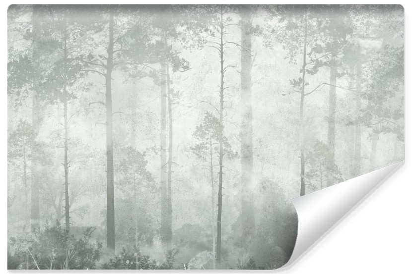 Fototapeta Las We Mgle Na Betonie 180x120cm 310884