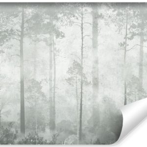Fototapeta Las We Mgle Na Betonie 416x254cm 310801 Fototapeta Las We Mgle Na Betonie 416x254cm 310801