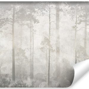 Fototapeta Las We Mgle Na Betonie 416x254cm 310811 Fototapeta Las We Mgle Na Betonie 416x254cm 310811