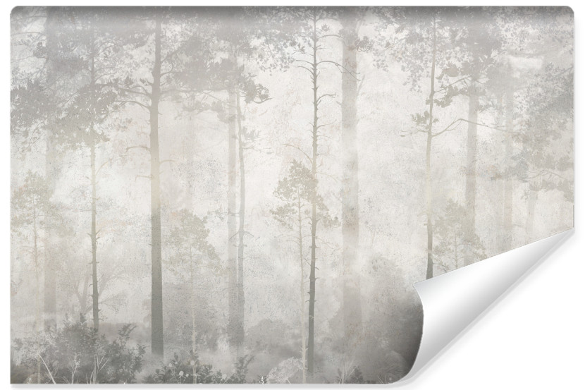 Fototapeta Las We Mgle Na Betonie 416x290cm 310847
