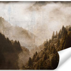 Fototapeta Las We Mgle Na Betonie 450x300cm 308757 Fototapeta Las We Mgle Na Betonie 450x300cm 308757