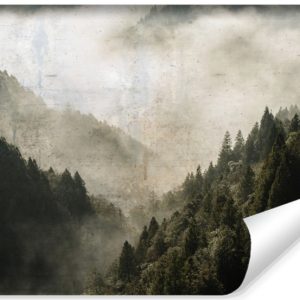 Fototapeta Las We Mgle W Stylu Vintage 450x300cm 309236 Fototapeta Las We Mgle W Stylu Vintage 450x300cm 309236