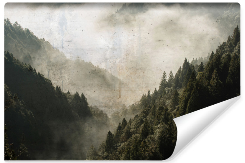Fototapeta Las We Mgle W Stylu Vintage 520x318cm 309046