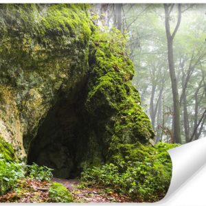Fototapeta Leśna JASKINIA Mgła Drzewa 3D 312x219cm 259020 Fototapeta Leśna JASKINIA Mgła Drzewa 3D 312x219cm 259020
