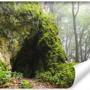 Fototapeta Leśna JASKINIA Mgła Drzewa 3D 400x280cm 258904 Fototapeta Leśna JASKINIA Mgła Drzewa 3D 400x280cm 258904