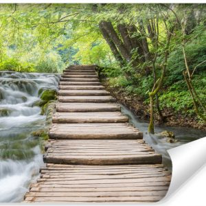 Fototapeta Leśny Wodospad Efekt 3D 368x254cm 254922
