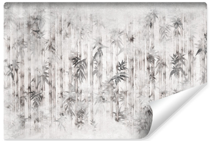Fototapeta Liście Bambusa Na Betonie 405x270cm 316236