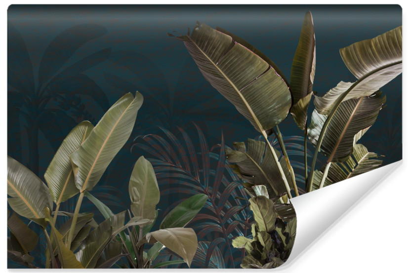 Fototapeta Liście Bananowca 312x219cm 323789