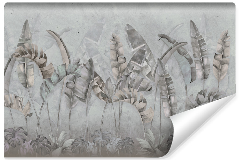 Fototapeta Liście Bananowca Abstrakcja 104x70.5cm 167776