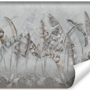 Fototapeta Liście Bananowca Abstrakcja 254x184cm 167731 Fototapeta Liście Bananowca Abstrakcja 254x184cm 167731