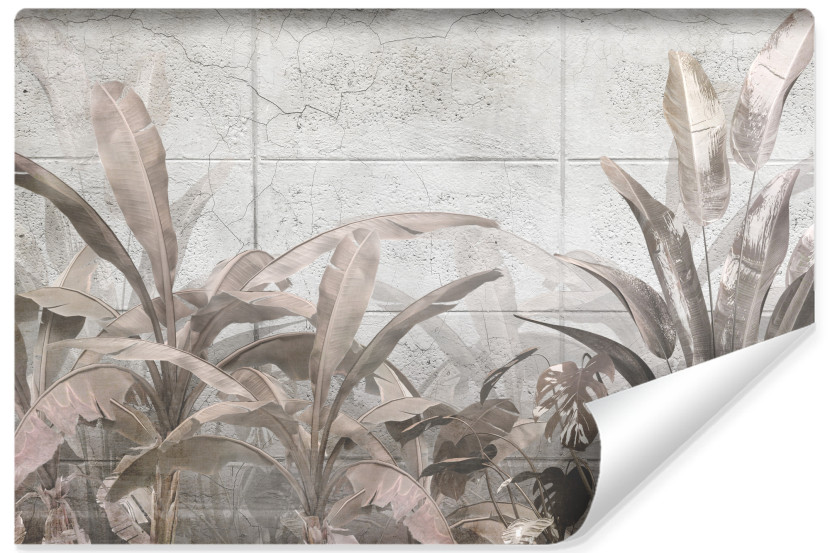 Fototapeta Liście BANANOWCA Betonowy Mural 416x254cm 167940