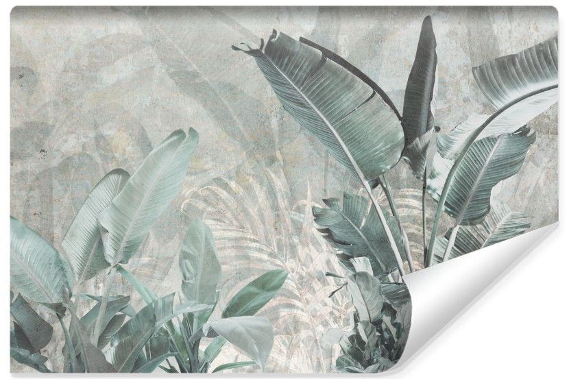 Fototapeta Liście Bananowca Na Betonie 152.5x104cm 324906
