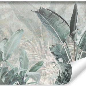 Fototapeta Liście Bananowca Na Betonie 368x254cm 324869 Fototapeta Liście Bananowca Na Betonie 368x254cm 324869