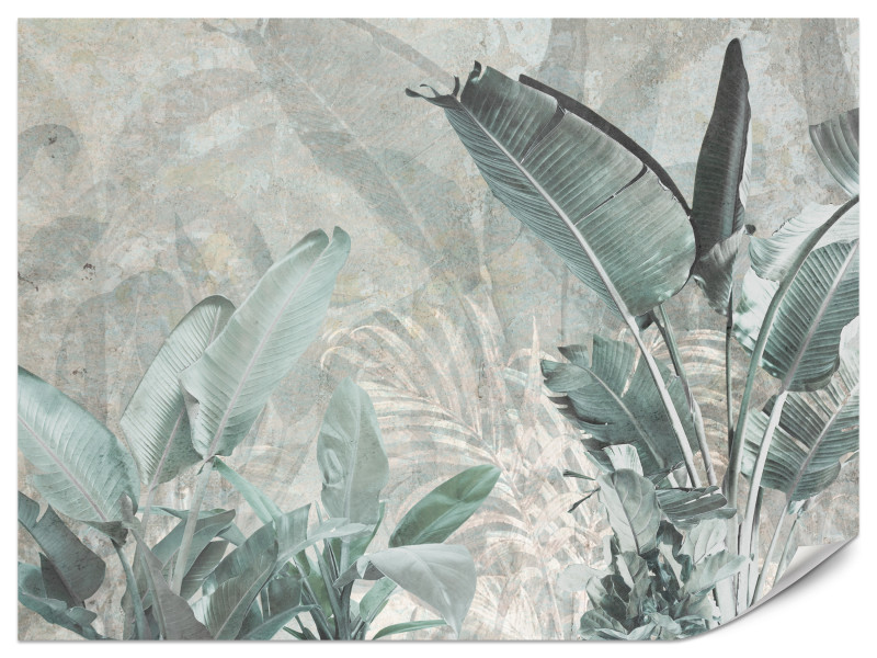 Fototapeta Liście bananowca V2 500x350cm 984705