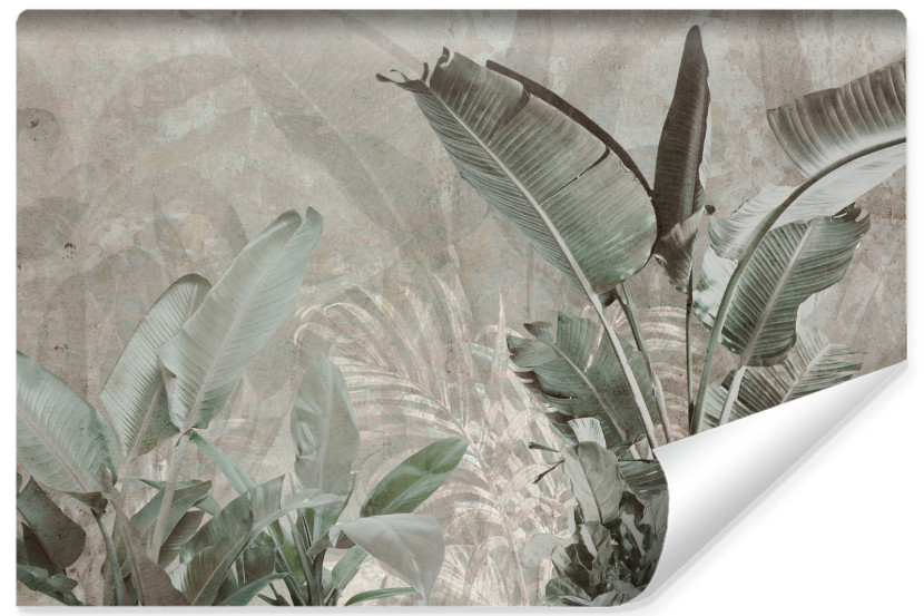 Fototapeta Liście Bananowe Na Betonie 520x318cm 321937