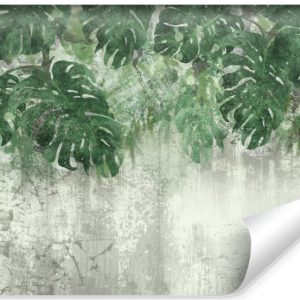 Fototapeta Liście monstery na betonowym tle 300x210cm 164522