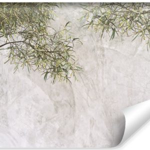 Fototapeta Liście Na Abstrakcyjnym Betonie 400x280cm 167432