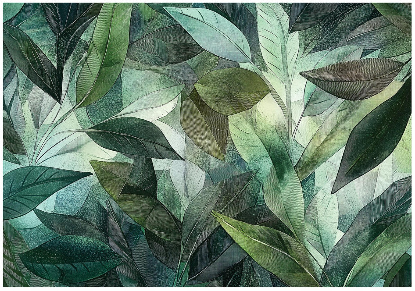 Fototapeta Liście Natura Dżungla Sypialnia Salon Tapeta Flizelina 300X210 653102