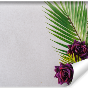 Fototapeta Liście Palmowe KWIATY Róże 3D 520x318cm 253019 Fototapeta Liście Palmowe KWIATY Róże 3D 520x318cm 253019