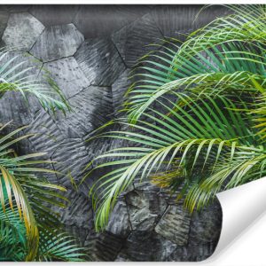 Fototapeta Liście Palmowe Na Betonie 416x290cm 254656