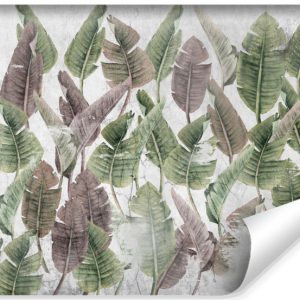 Fototapeta Liście palmowe na betonie 460x300cm 306403
