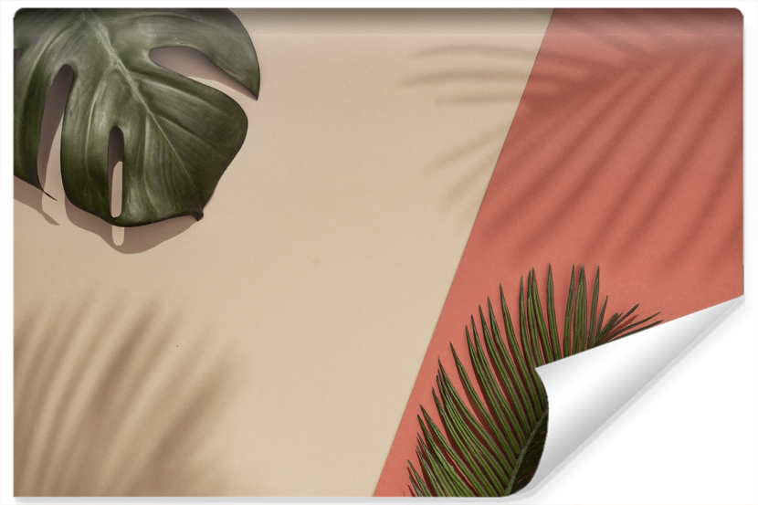 Fototapeta LIŚCIE Palmy Monstery Natura 3D 270x180cm 255398