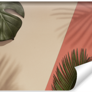 Fototapeta LIŚCIE Palmy Monstery Natura 3D 520x318cm 255368 Fototapeta LIŚCIE Palmy Monstery Natura 3D 520x318cm 255368