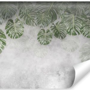Fototapeta LIŚCIE Tropikalne Monstery Mural 3D 520x318cm 168109 Fototapeta LIŚCIE Tropikalne Monstery Mural 3D 520x318cm 168109
