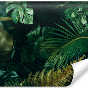 Fototapeta Liście TROPIKALNE Urban Jungle 208x146cm 249590 Fototapeta Liście TROPIKALNE Urban Jungle 208x146cm 249590