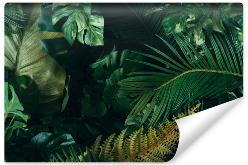 Fototapeta Liście TROPIKALNE Urban Jungle 315x210cm 249572