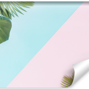 Fototapeta Liście Urban JUNGLE Natura 3D 360x240cm 254643