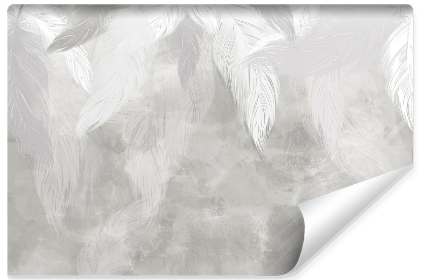 Fototapeta Ścienna Abstrakcyjne Pióra Na Beton 368x254cm 167578
