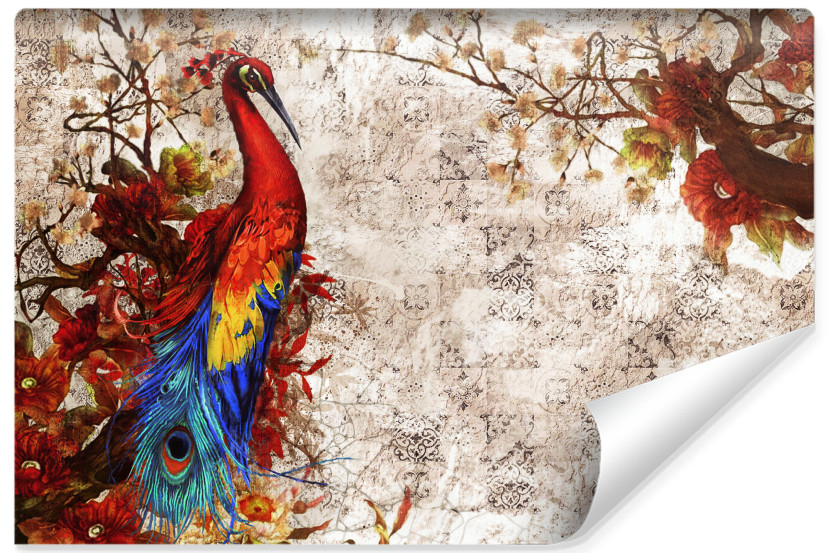 Fototapeta Ścienna Abstrakcyjny Barwny Paw 135x90cm 164334